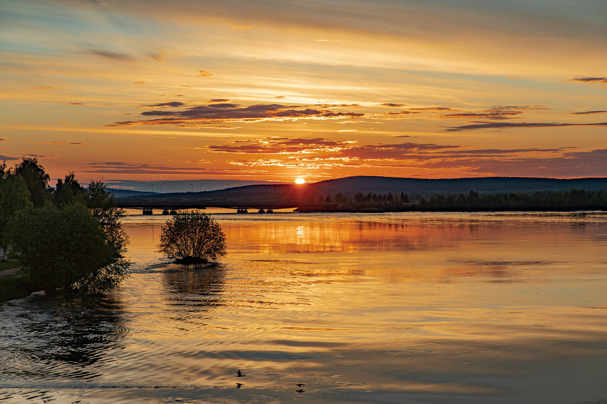 Rovaniemi (Photo license: CC BY 2.0)